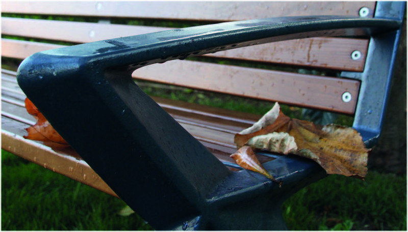 Garden Bench